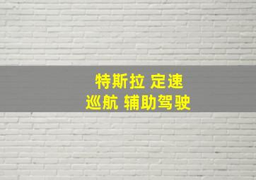 特斯拉 定速巡航 辅助驾驶